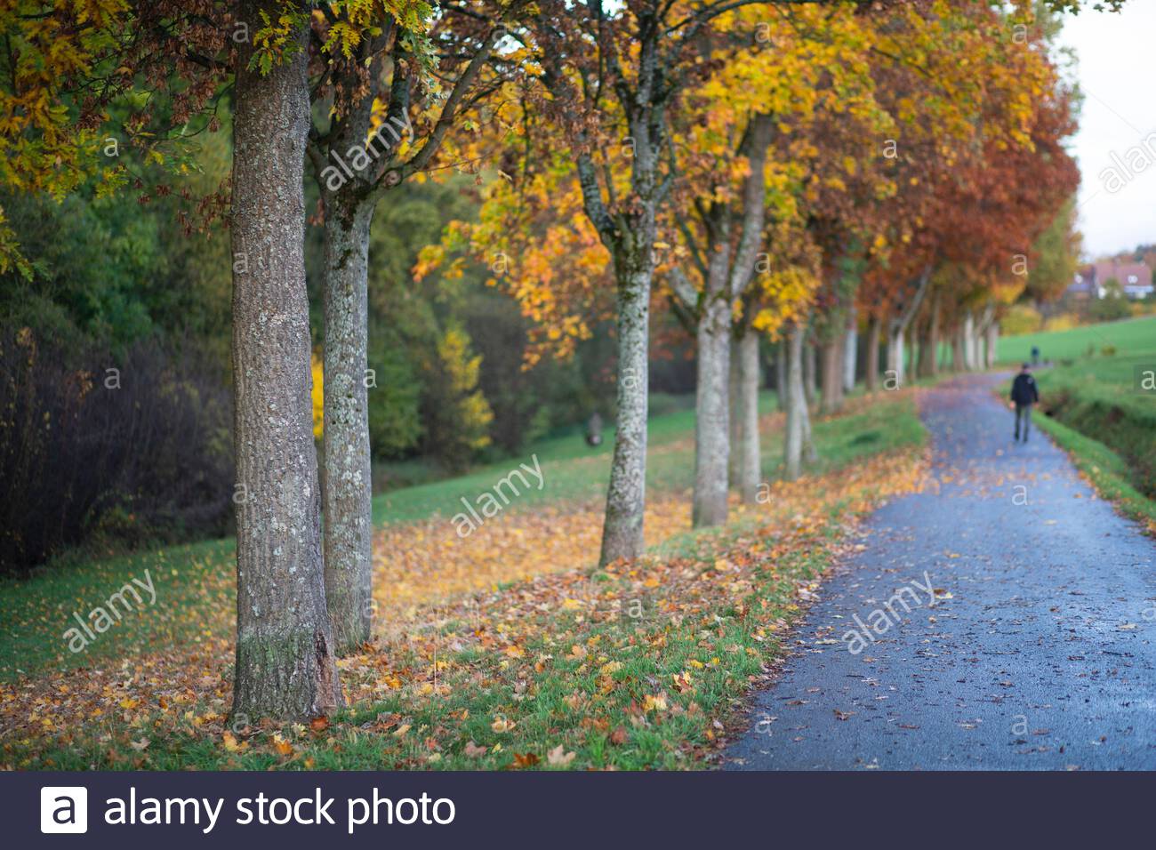After a very rainy day the weather cleared in Coburg Germany yesterday