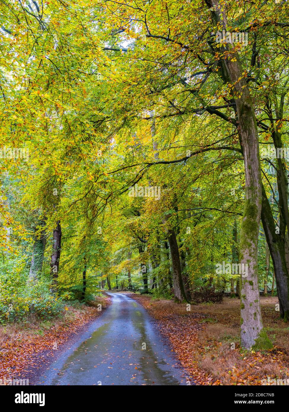 The Chilterns, Woodland Road, Marks Corner, Checkendon, Oxfordshire ...