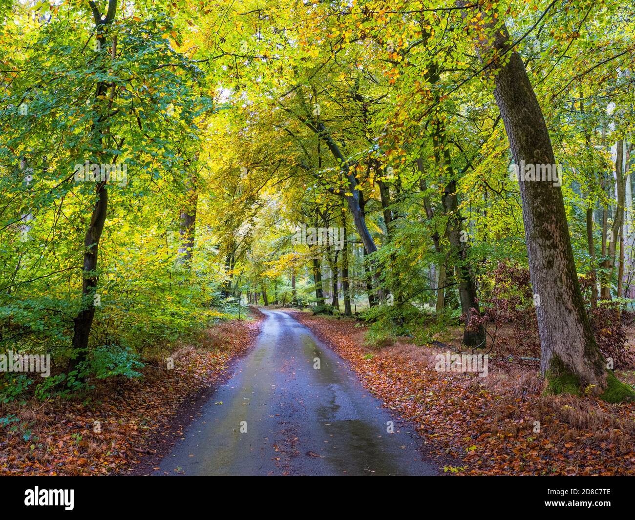 The Chilterns, Woodland Road, Marks Corner, Checkendon, Oxfordshire ...