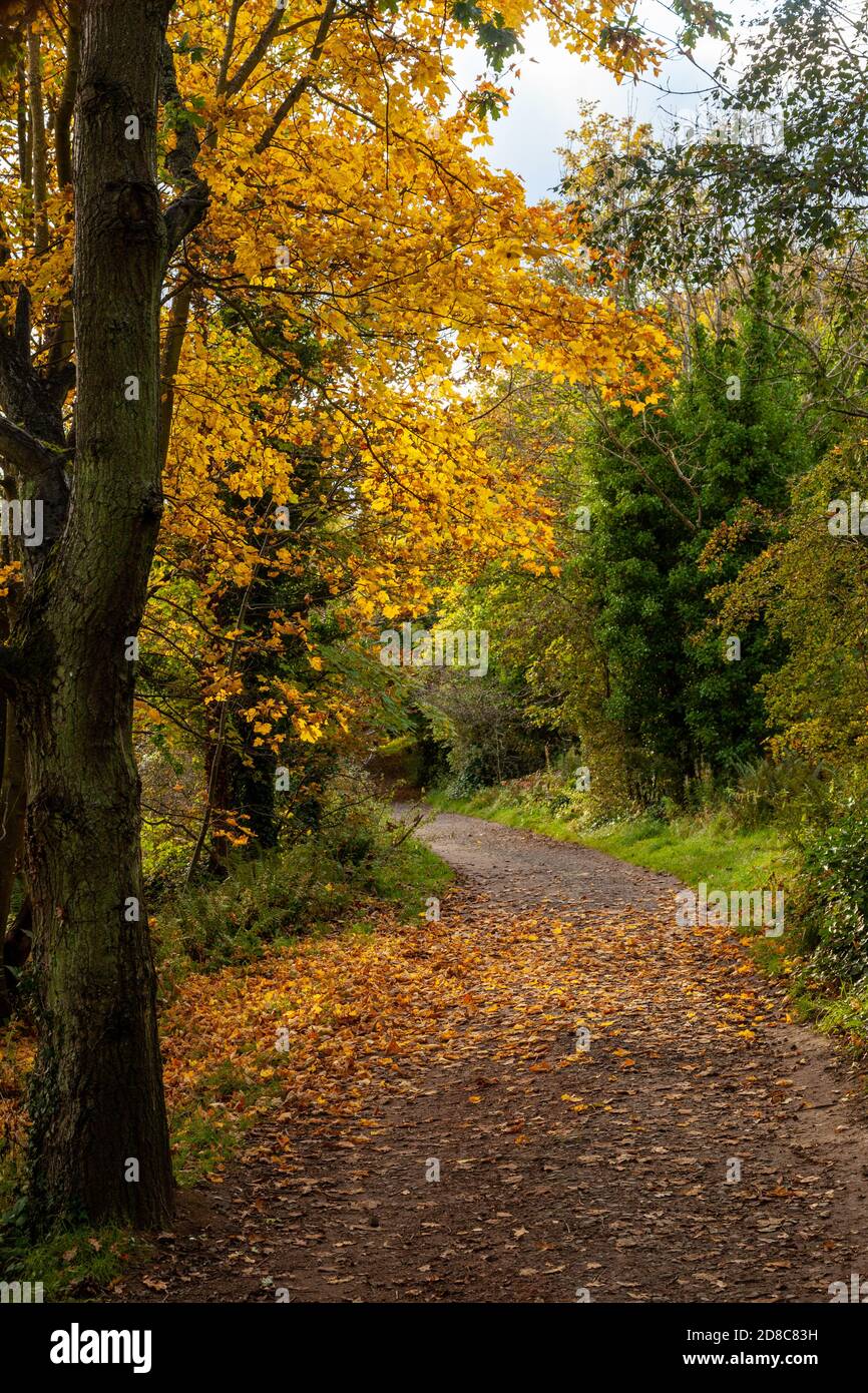 The Fife Coastal Path near Dalgety Bay Fife Scotland Stock Photo Alamy