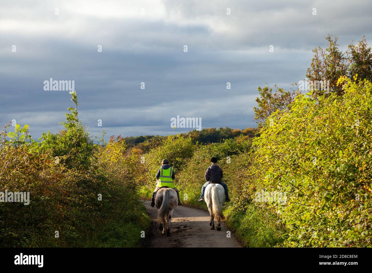 Two people riding their horses down a narrow country lane. Stock Photo