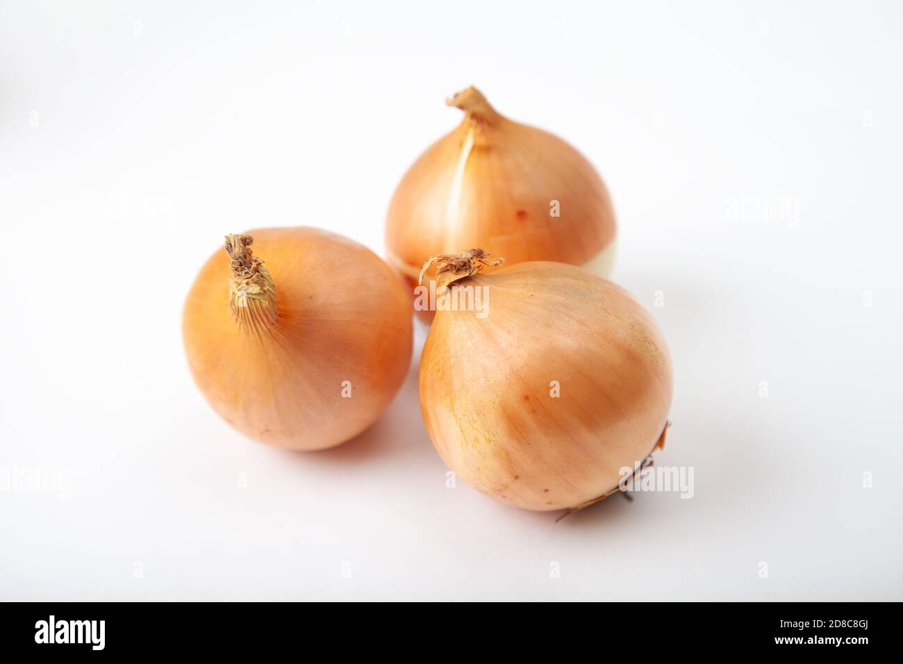 Three white raw onions on a white background. Stock Photo
