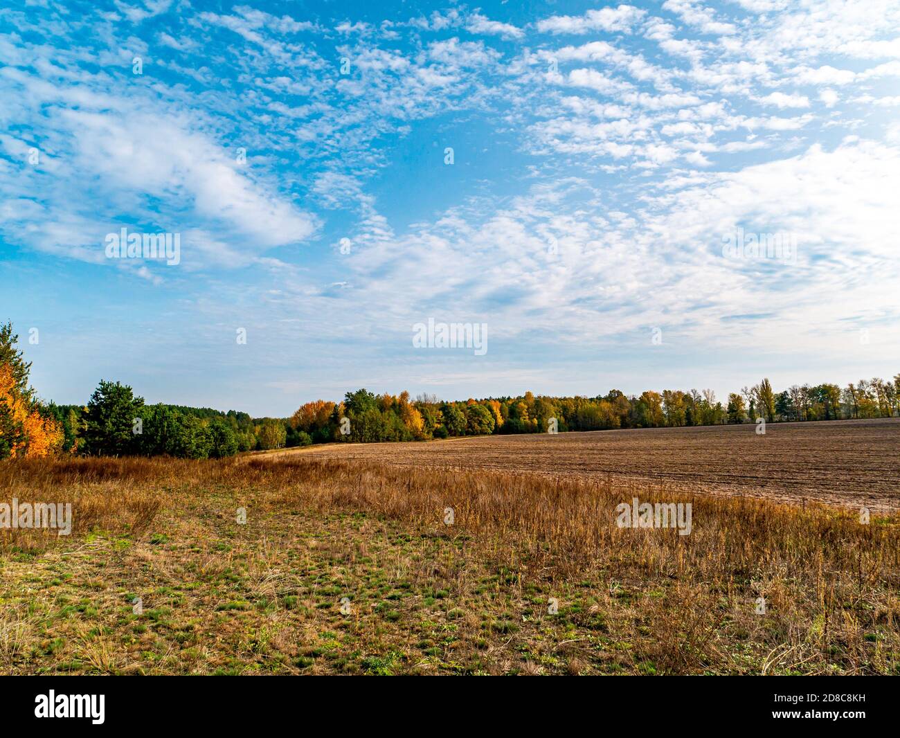 A plowed agricultural field against the cloudy skyline Stock Photo - Alamy