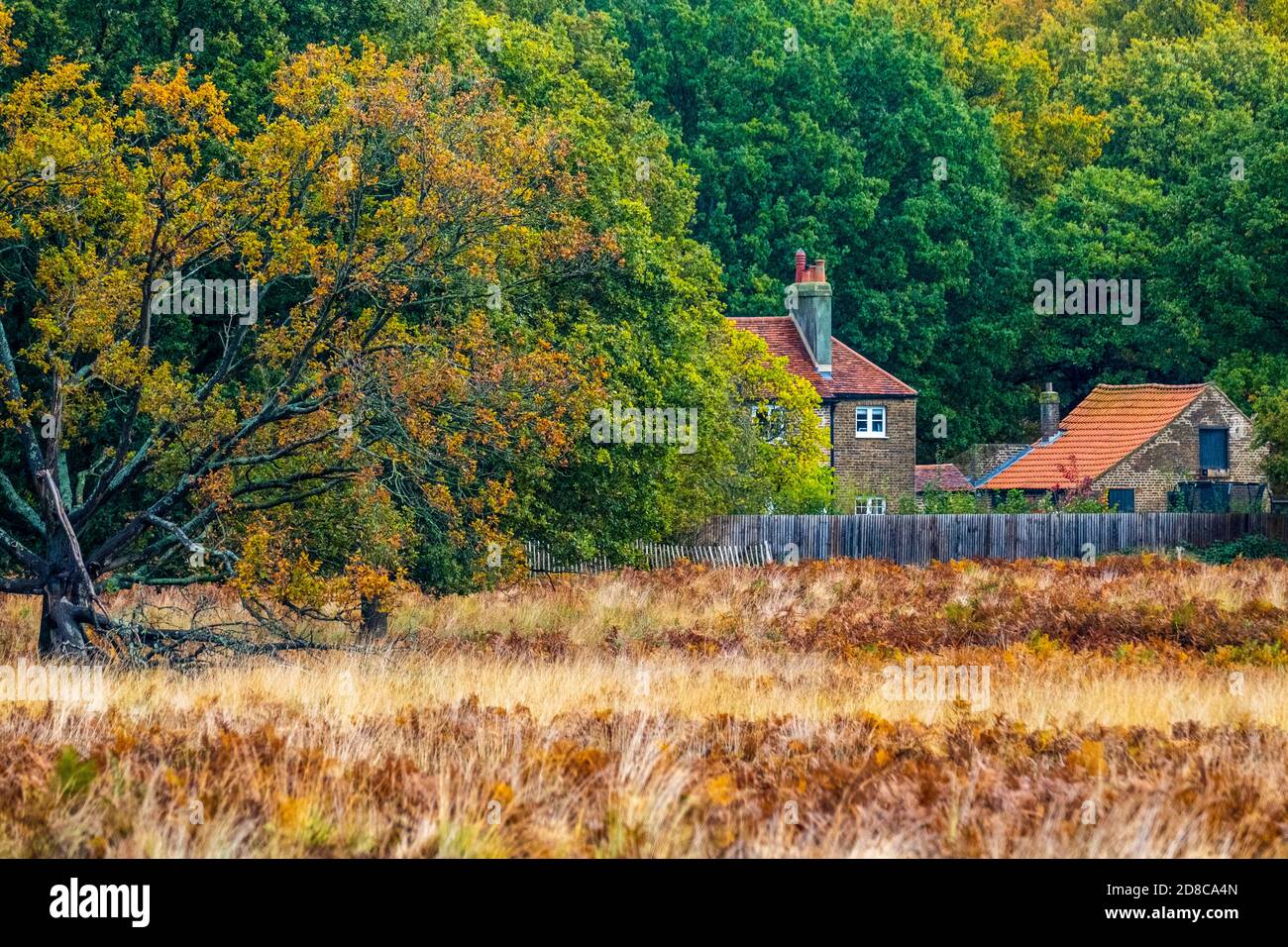 Country house in Richmond park during autumn Stock Photo