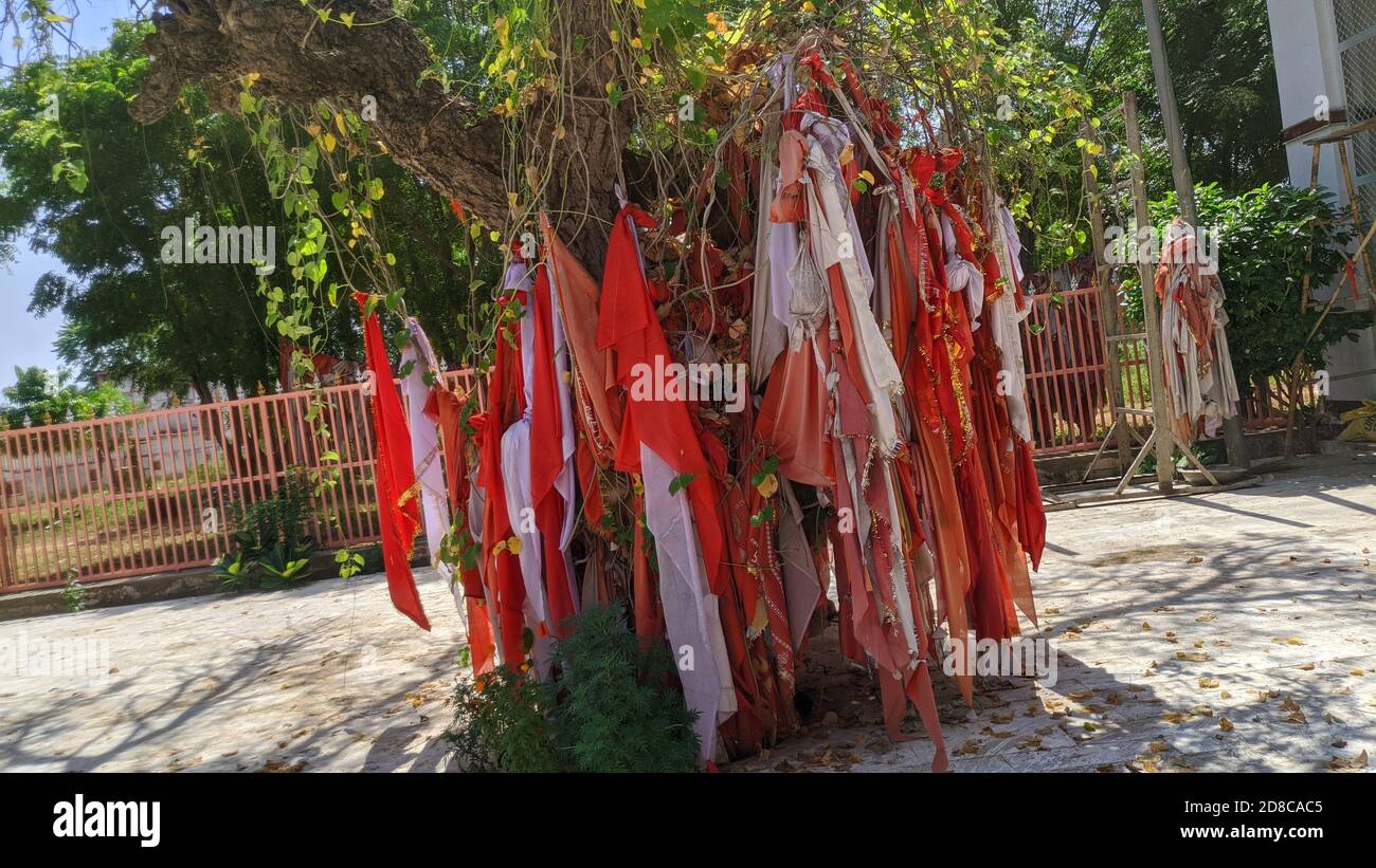 Hindu religious holy flags tied in temple on a tree. Stock Photo