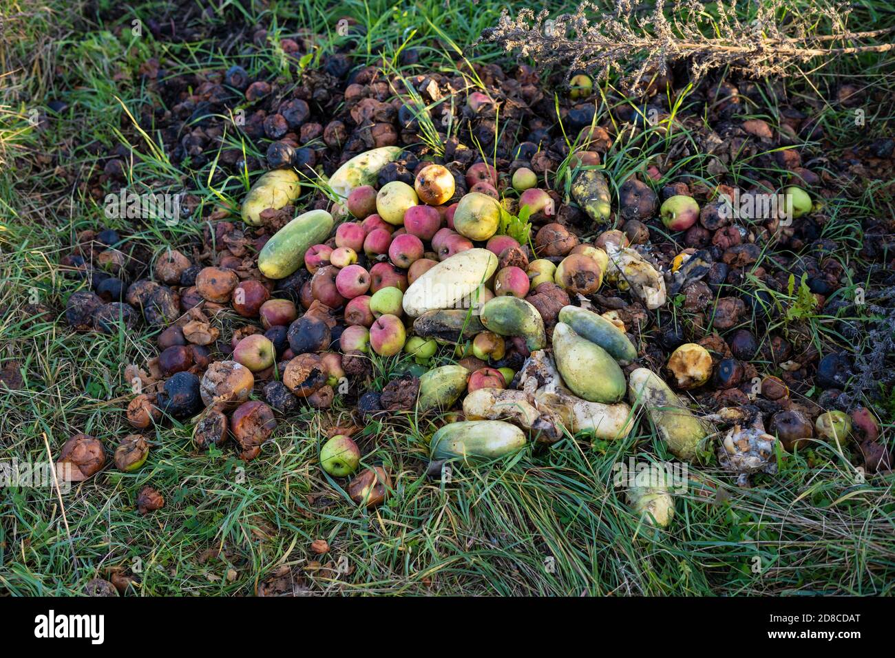 Rotten Vegetables High Resolution Stock Photography And Images Alamy