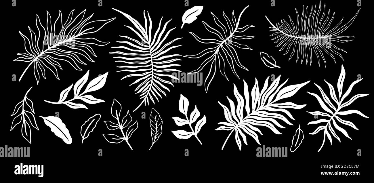 Tropical plant leaf set.Botanical floral element background.Design for home decor, fabric, carpet, wrapping. Stock Vector