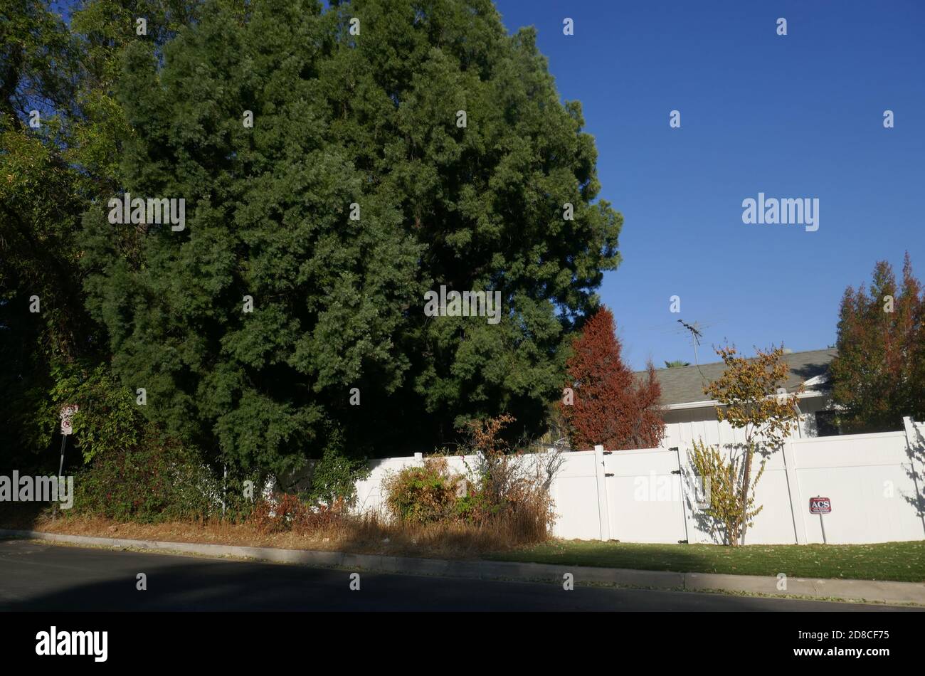 Encino, California, USA 28th October 2020 A general view of atmosphere of actress Vivian Vance's former home at 5521 Amestoy Avenue on October 28, 2020 in Encino, California, USA. Photo by Barry King/Alamy Stock Photo Stock Photo