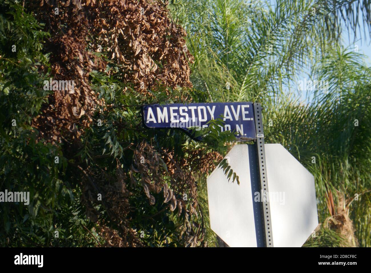 Encino, California, USA 28th October 2020 A general view of atmosphere of actress Vivian Vance's former home at 5521 Amestoy Avenue on October 28, 2020 in Encino, California, USA. Photo by Barry King/Alamy Stock Photo Stock Photo