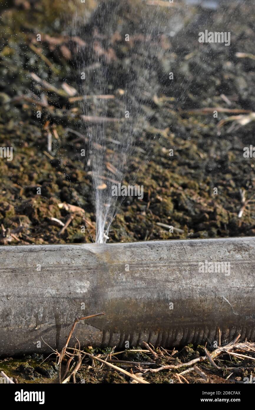 Water pipe burst in the field Stock Photo Alamy
