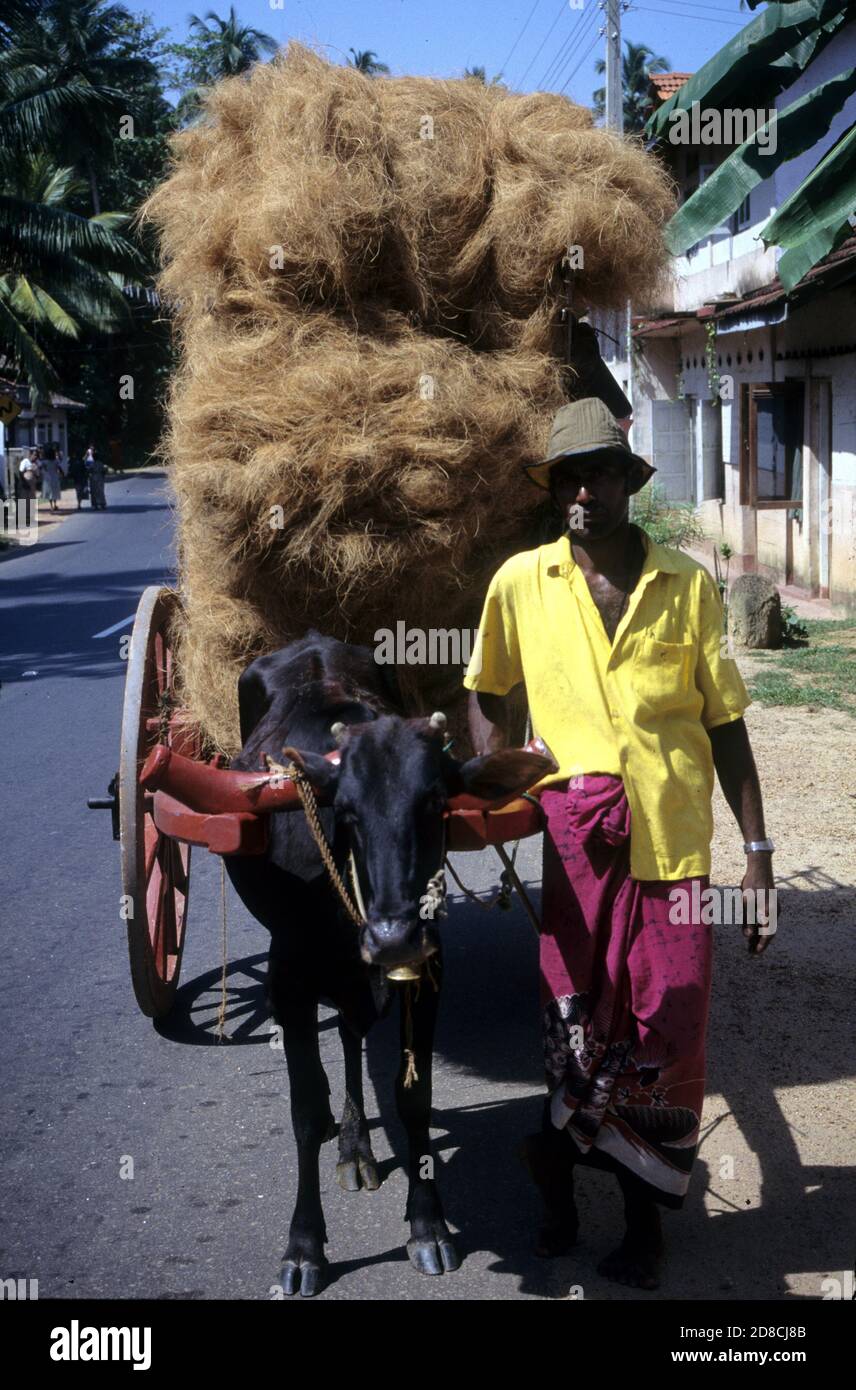a rural road in Sri Lanka Stock Photo - Alamy