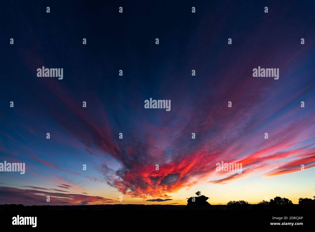 Iconic sky at sunset with tree over the rock Stock Photo - Alamy