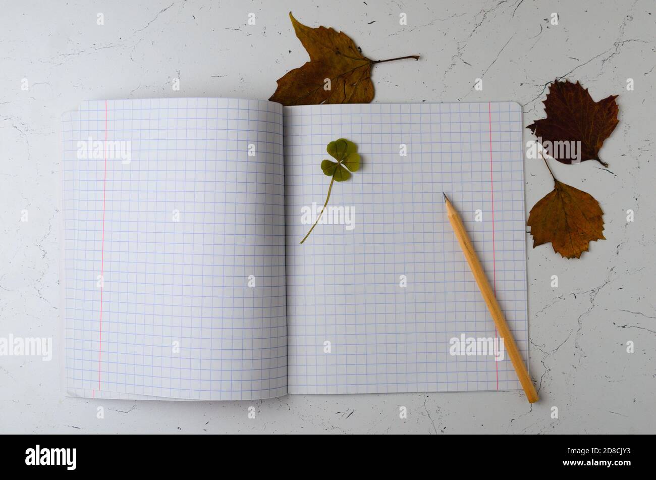 Notebook with a bookmark made of four-leaf clover on the background of an autumn leaves  Selective focus. Stock Photo