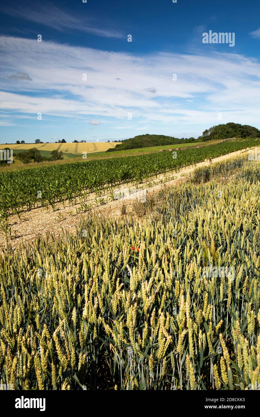 Stainton le vale lincolnshire hires stock photography and images Alamy