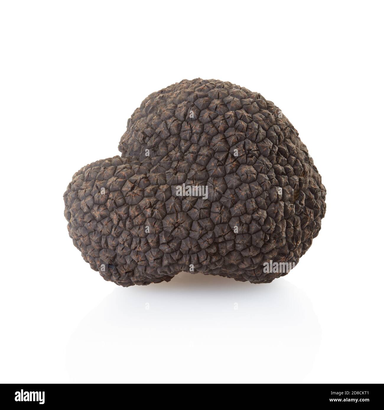 Are Black Truffles Bad For Dogs