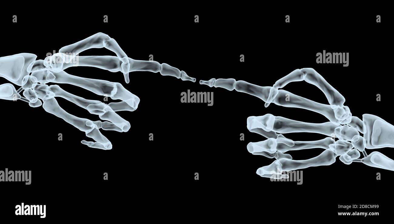 Two human hands pointing each other with index finger xray, 3d illustration Stock Photo