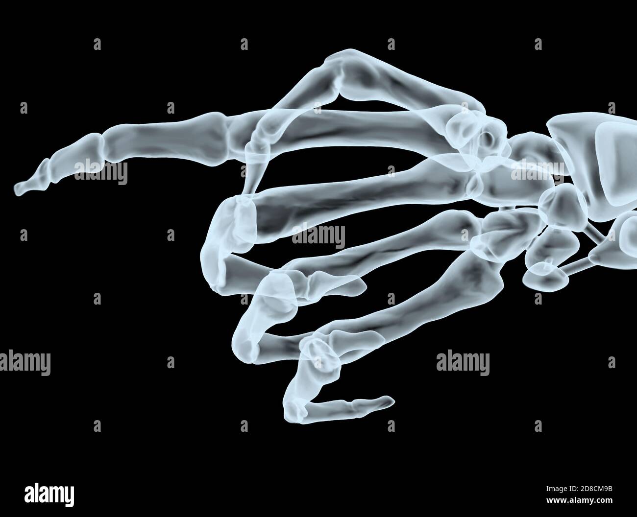 index finger xray, 3d illustration Stock Photo