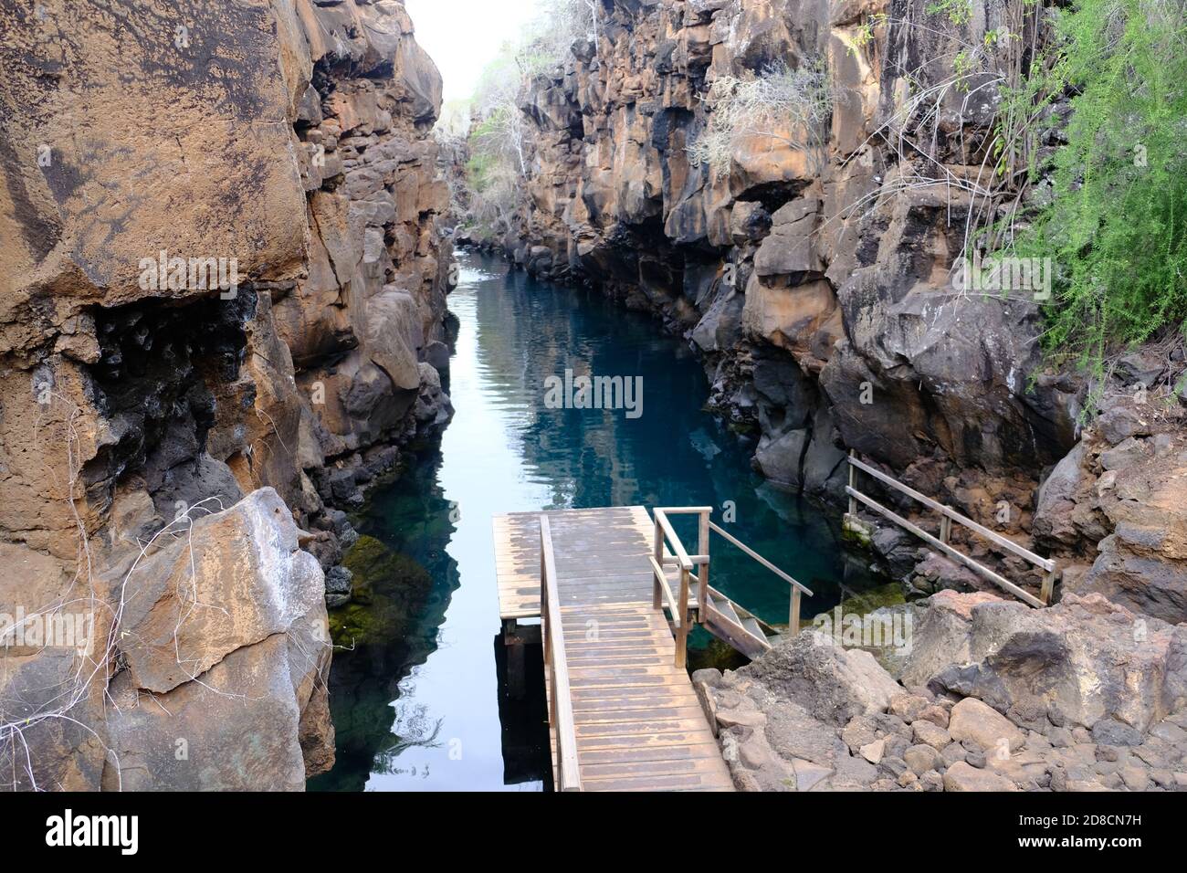 Ecuador Galapagos Islands - Santa Cruz Island Natural Swimming basin Las  Grietas Stock Photo - Alamy