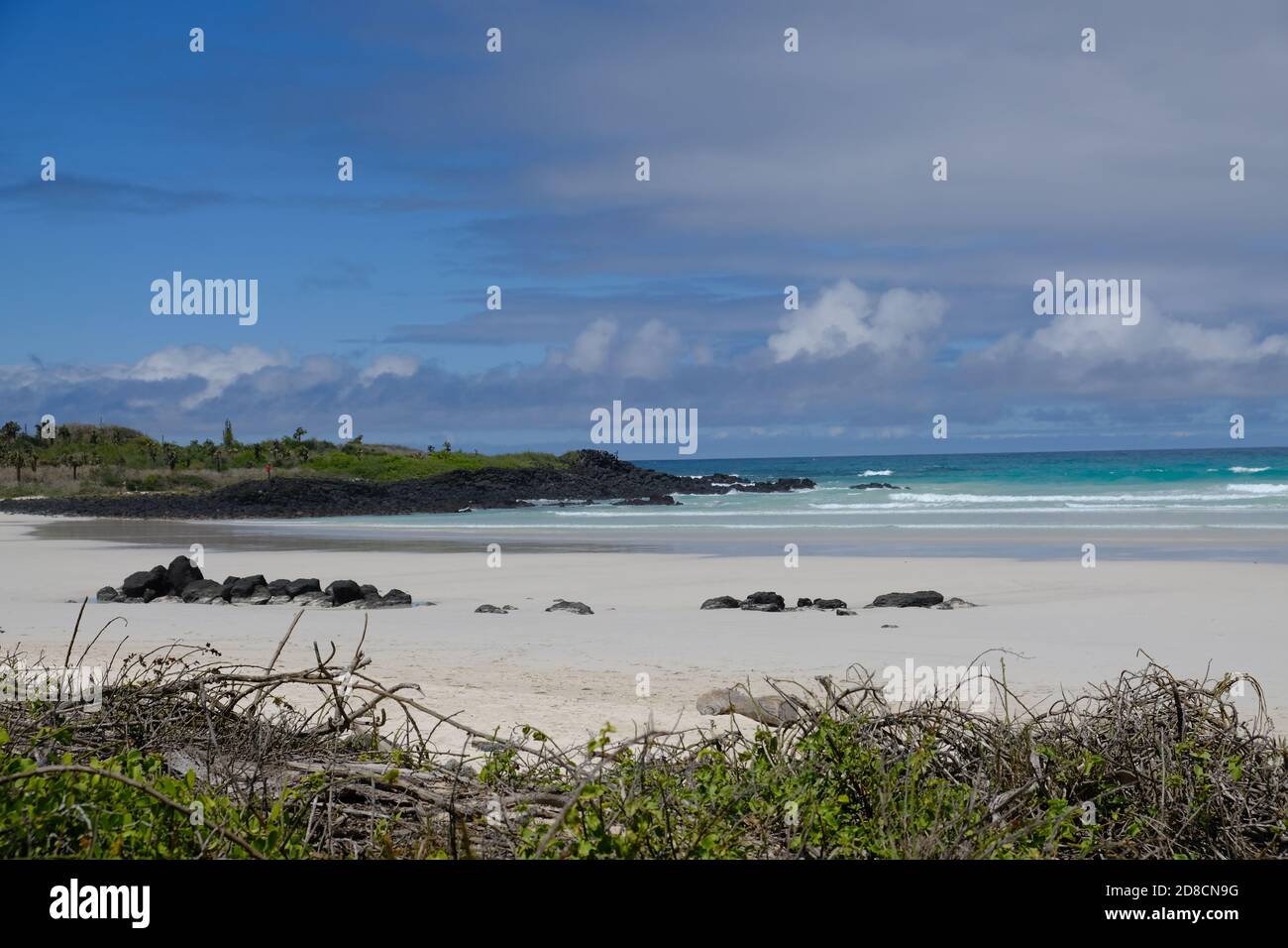 Ecuador Galapagos Islands - Santa Cruz Island Coastline Galapagos Beach at Tortuga Bay Stock Photo