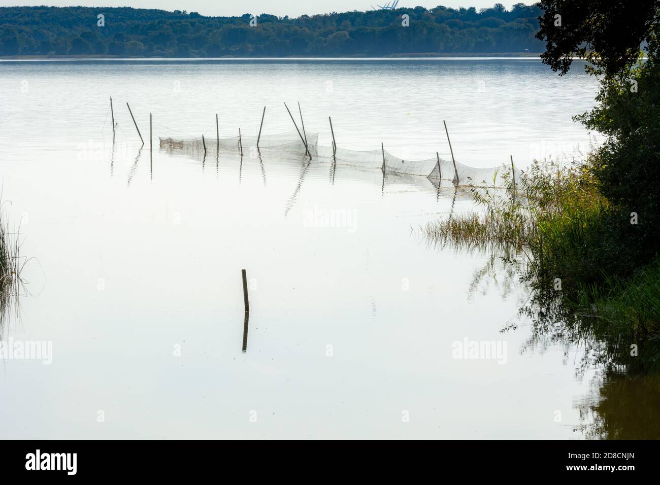Beautiful scenery of a fishing net in a lake one of the latest days of ...