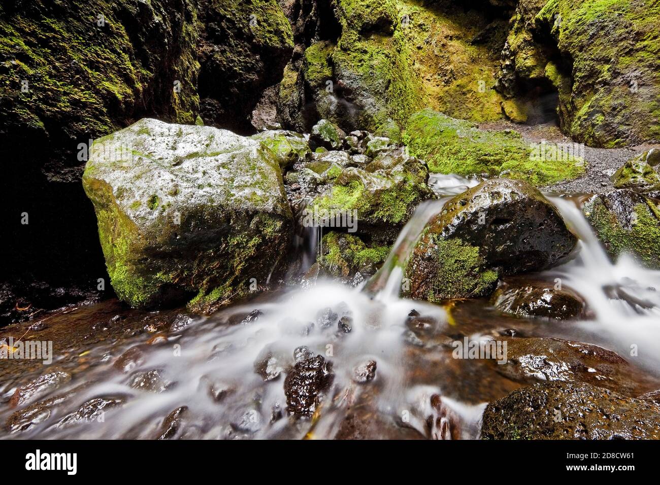 watercourse in the Raudfeldargja gorge, Iceland, Snaefellsnes Stock Photo