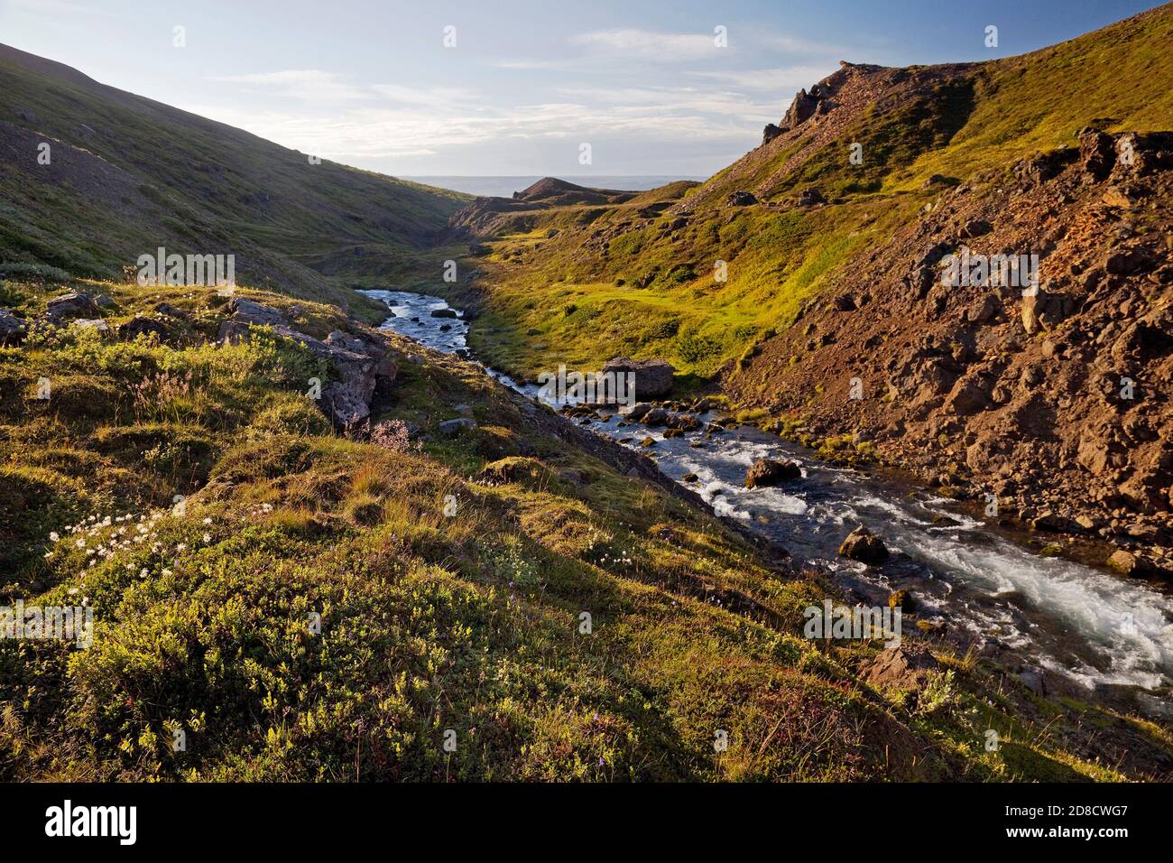 river in the valley of mountain Sandfell, Iceland, Sandfell Stock Photo