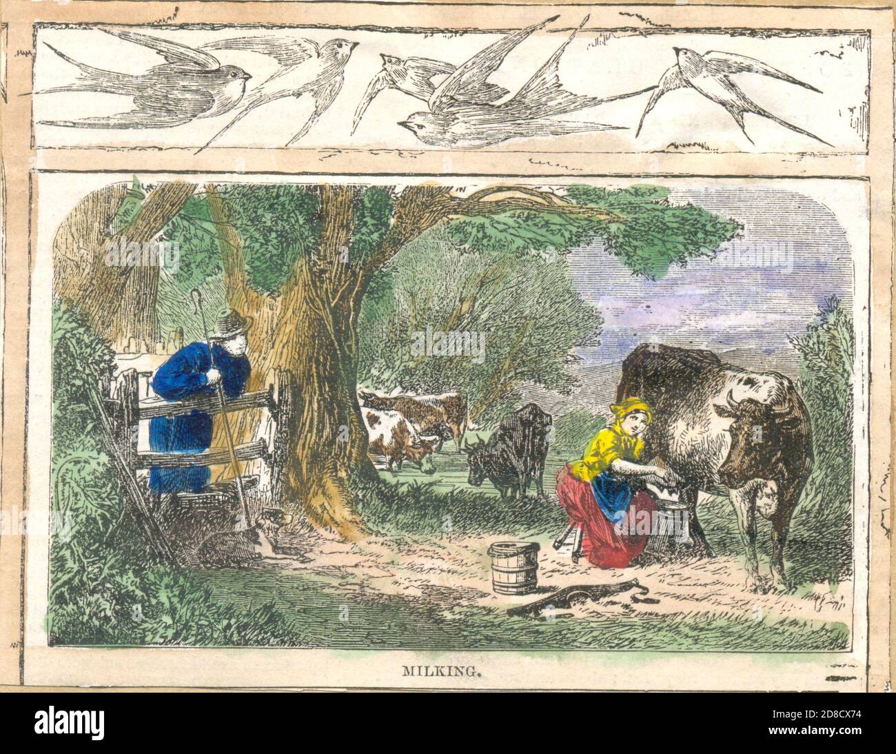 Hand coloured  rural image titled Milking from scrap album circa 1845 Stock Photo