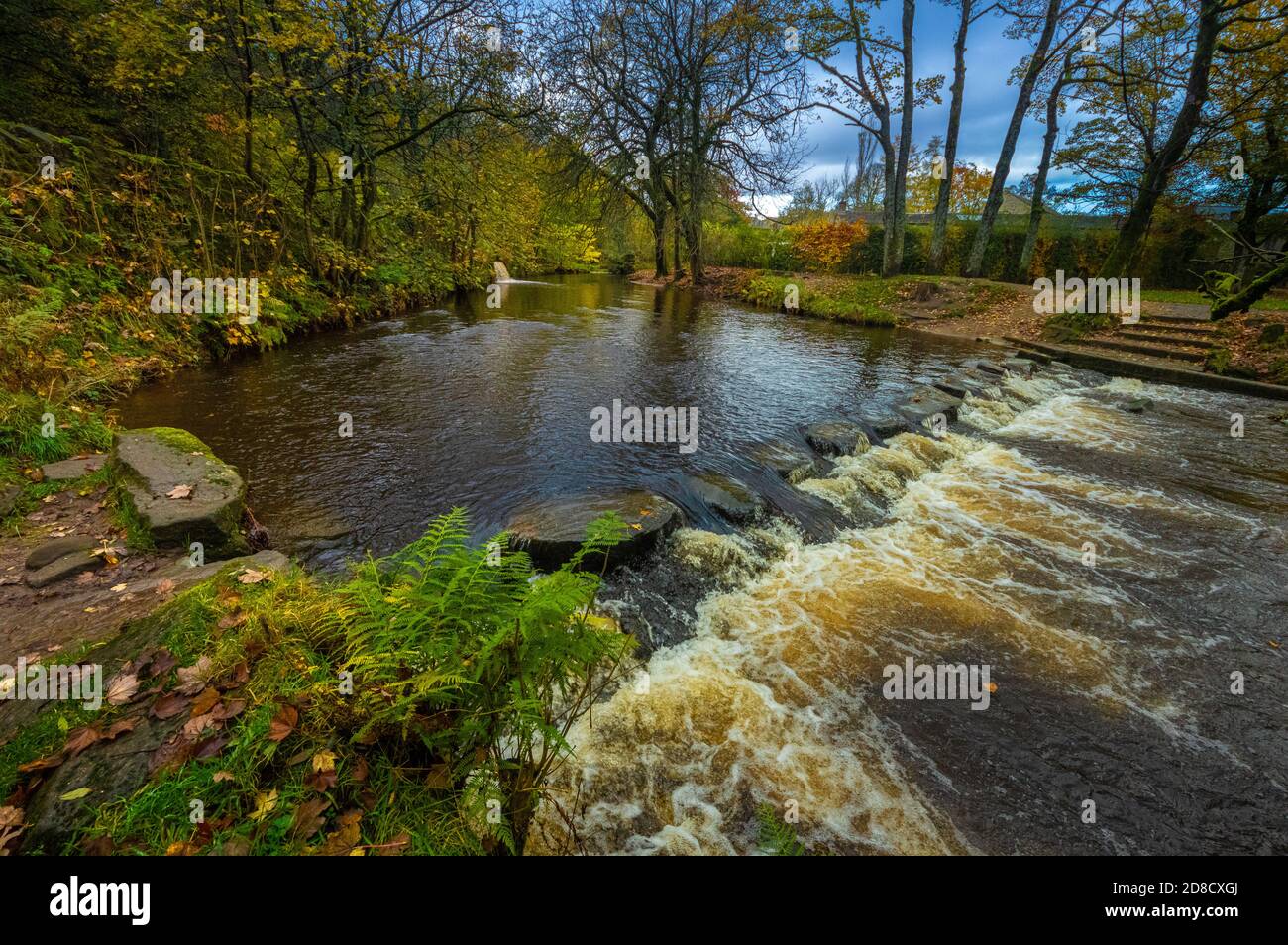 Autumn colours and stepping stones on the River Tame at Uppermill, Saddleworth, Oldham, England, UK Stock Photo
