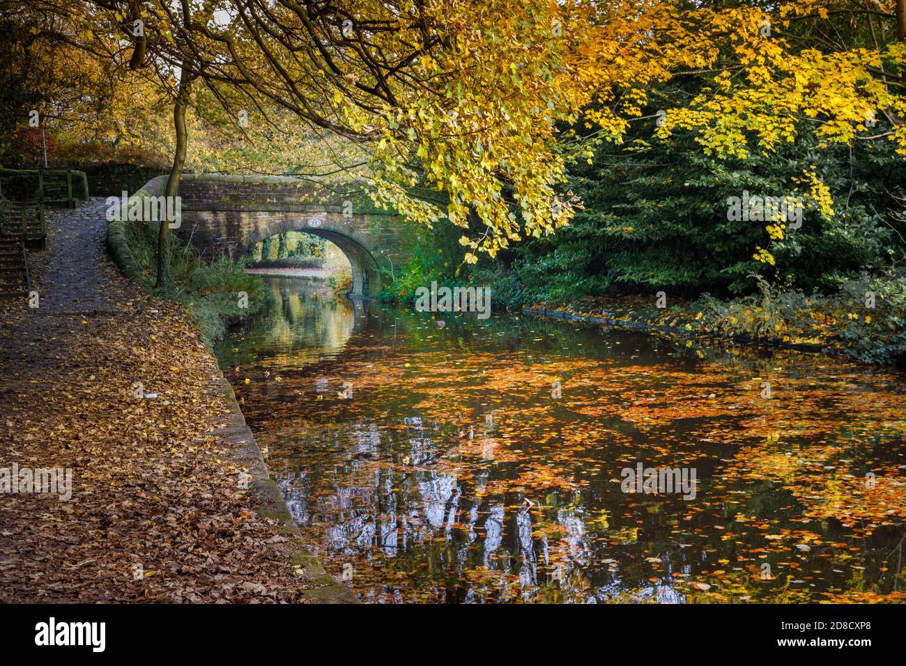Autumn colours and bridge on the Huddersfield Narrow Canal Uppermill to Dobcross section, Saddleworth, Oldham, England, UK Stock Photo