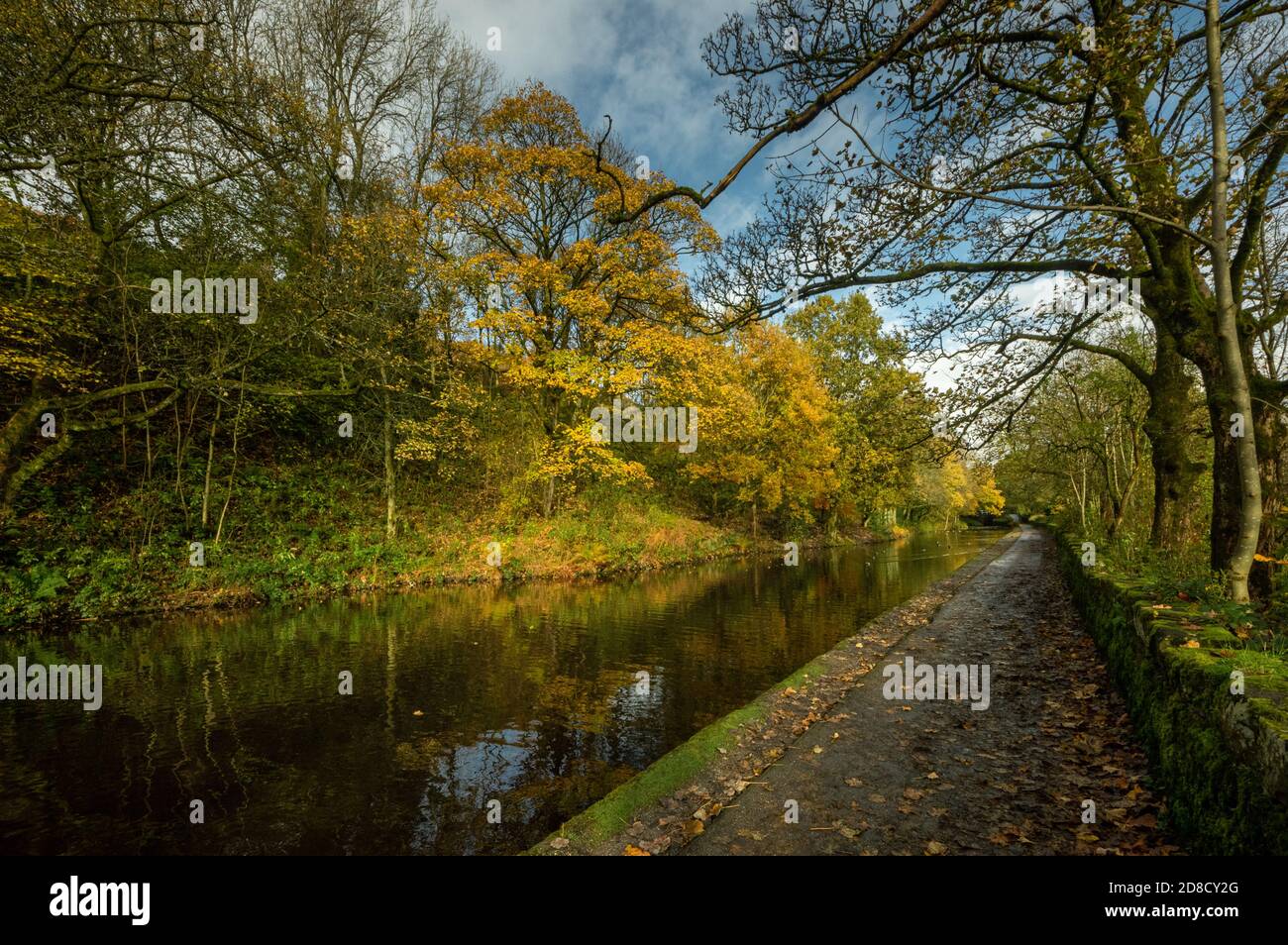 Autumn colours Huddersfield Narrow Canal Uppermill to Dobcross section, Saddleworth, Oldham, England, UK Stock Photo