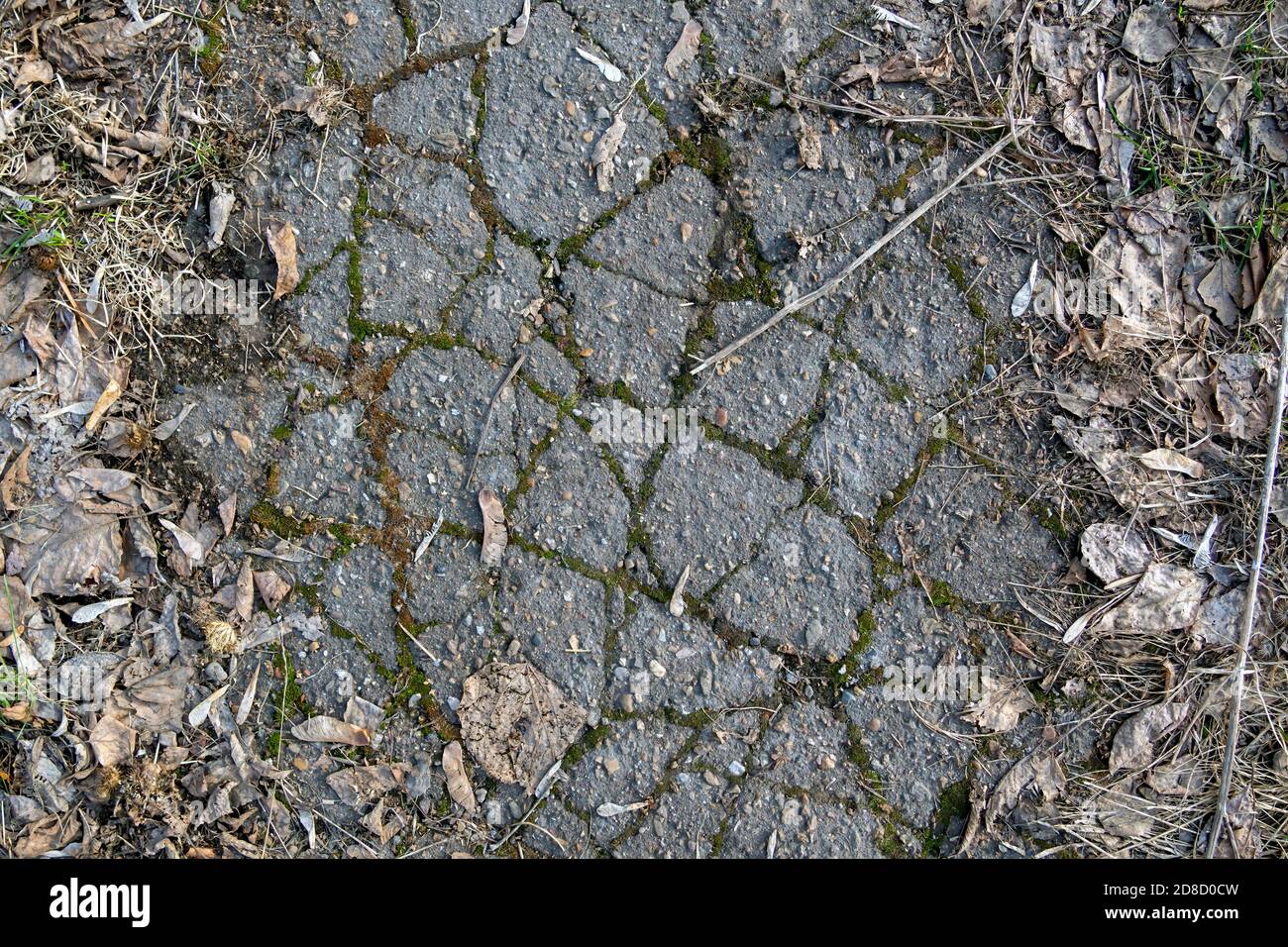 background of old asphalt with sprouted green grass and old dry leaves, top view. Stock Photo