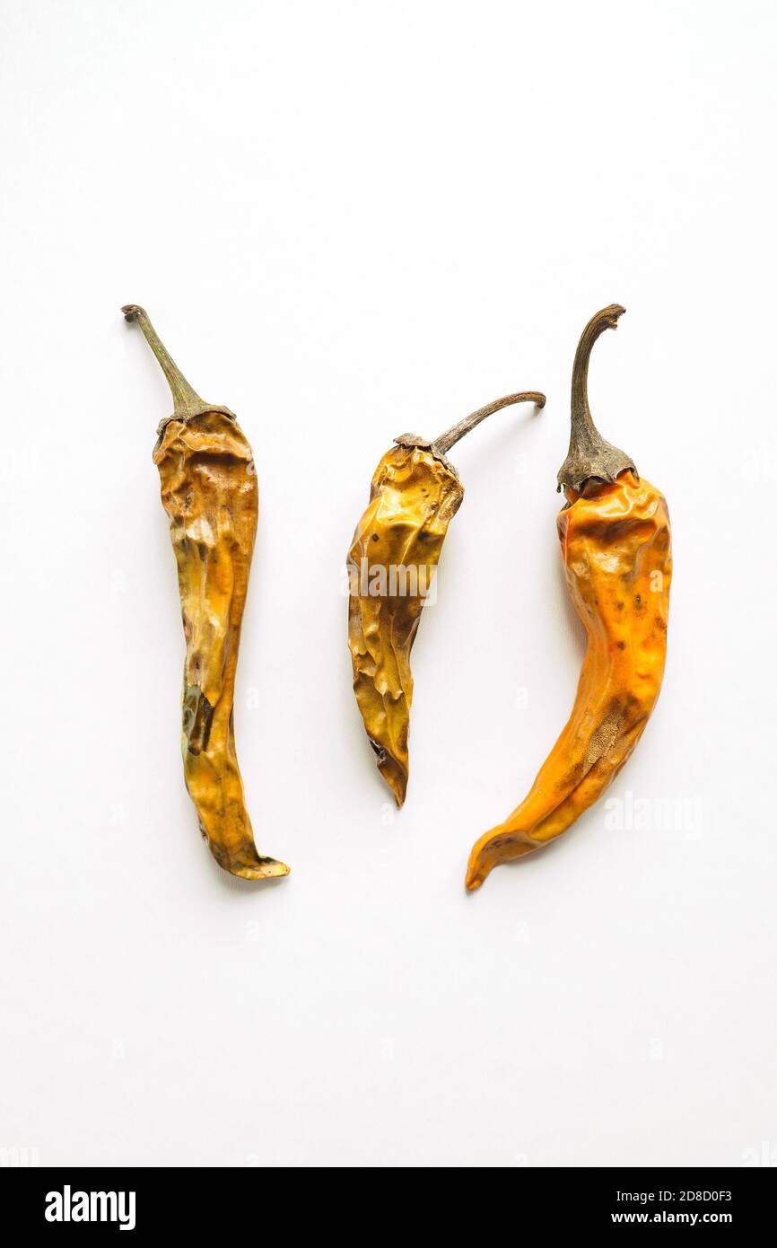 Vertical top view of three old dried and spoiled yellow peppers on white background Stock Photo