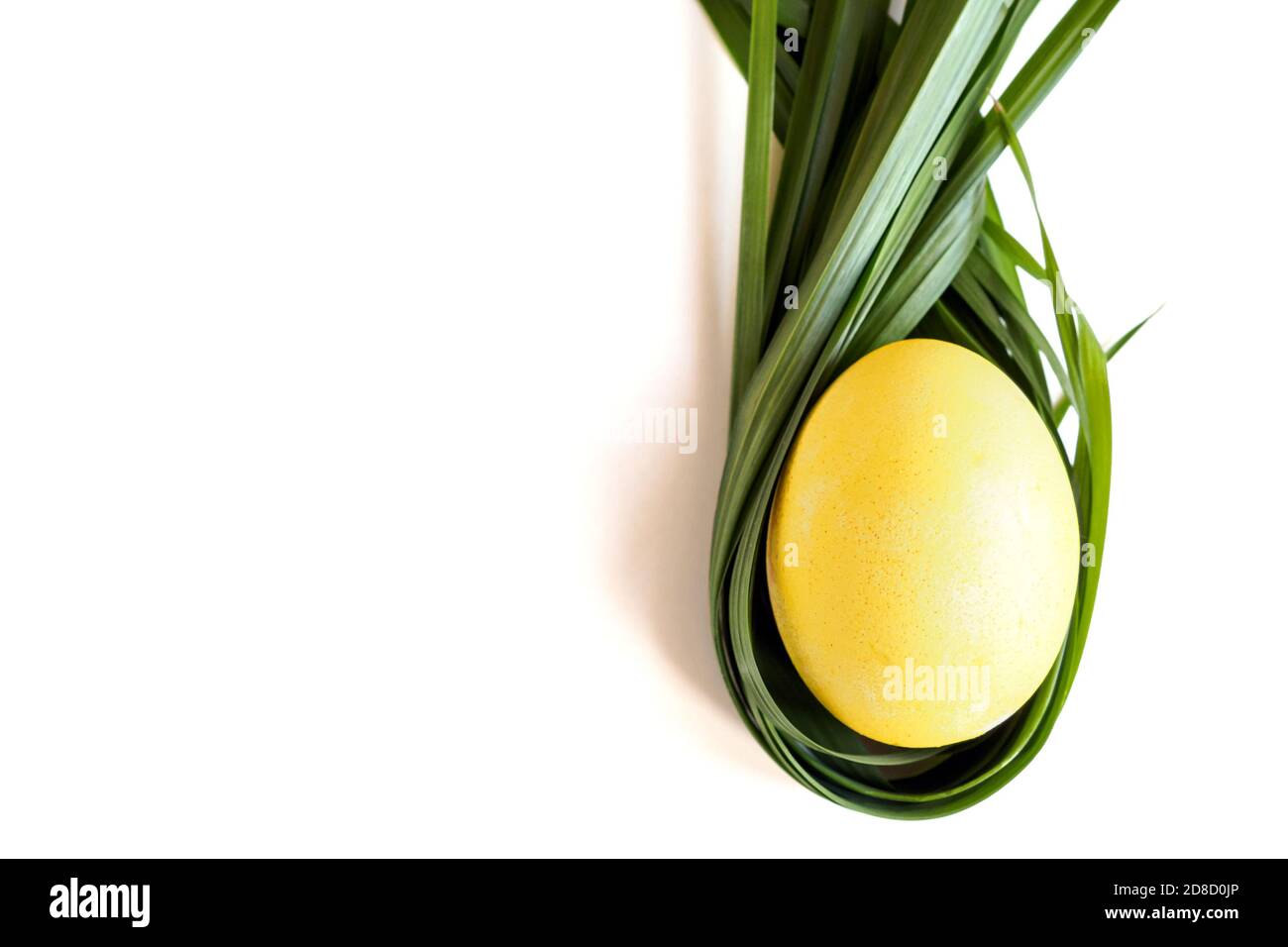 top view of green grass around yellow egg on white background, copy space, easter concept Stock Photo