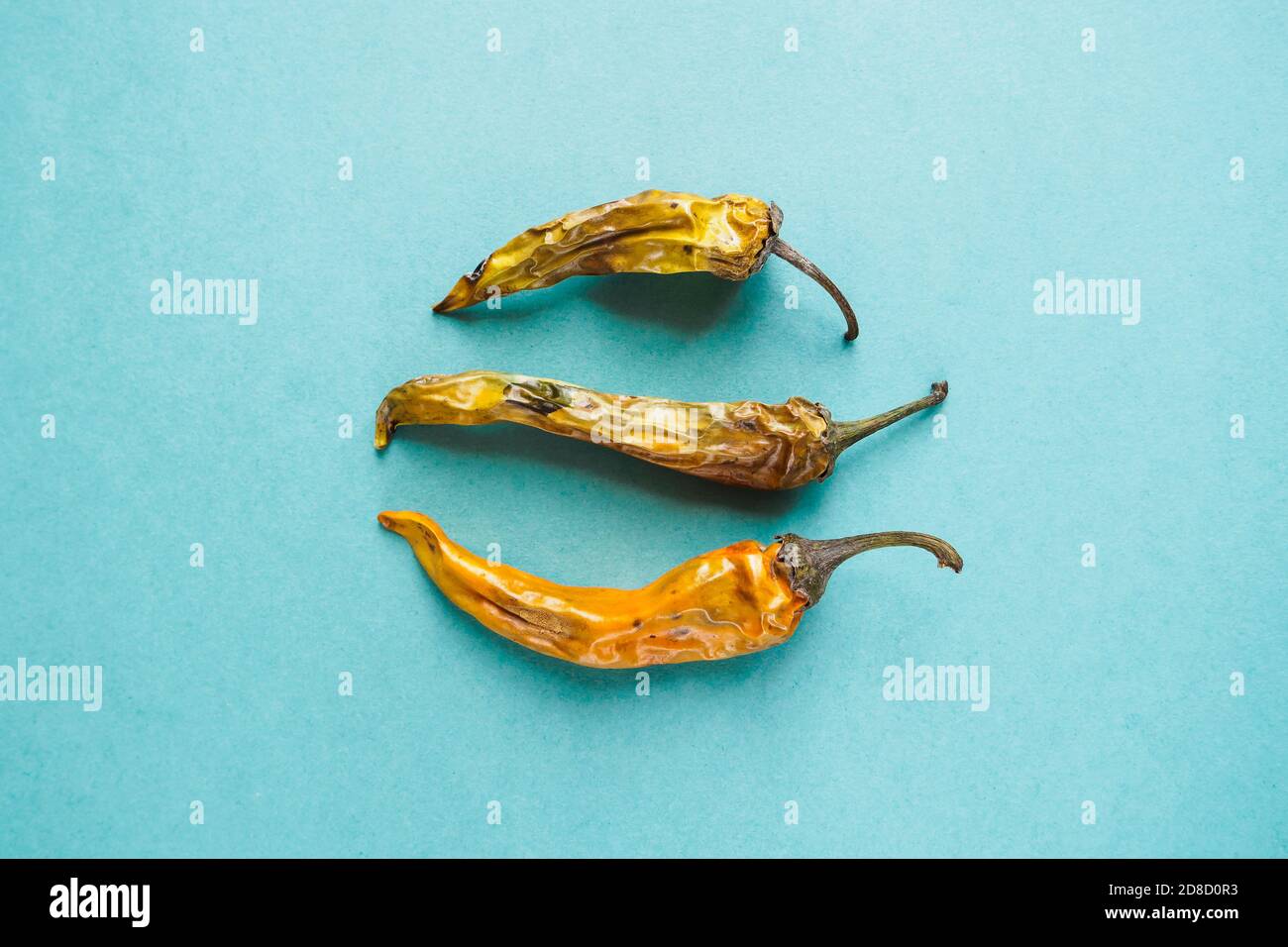 three old dried and spoiled yellow peppers on blue background, top view Stock Photo