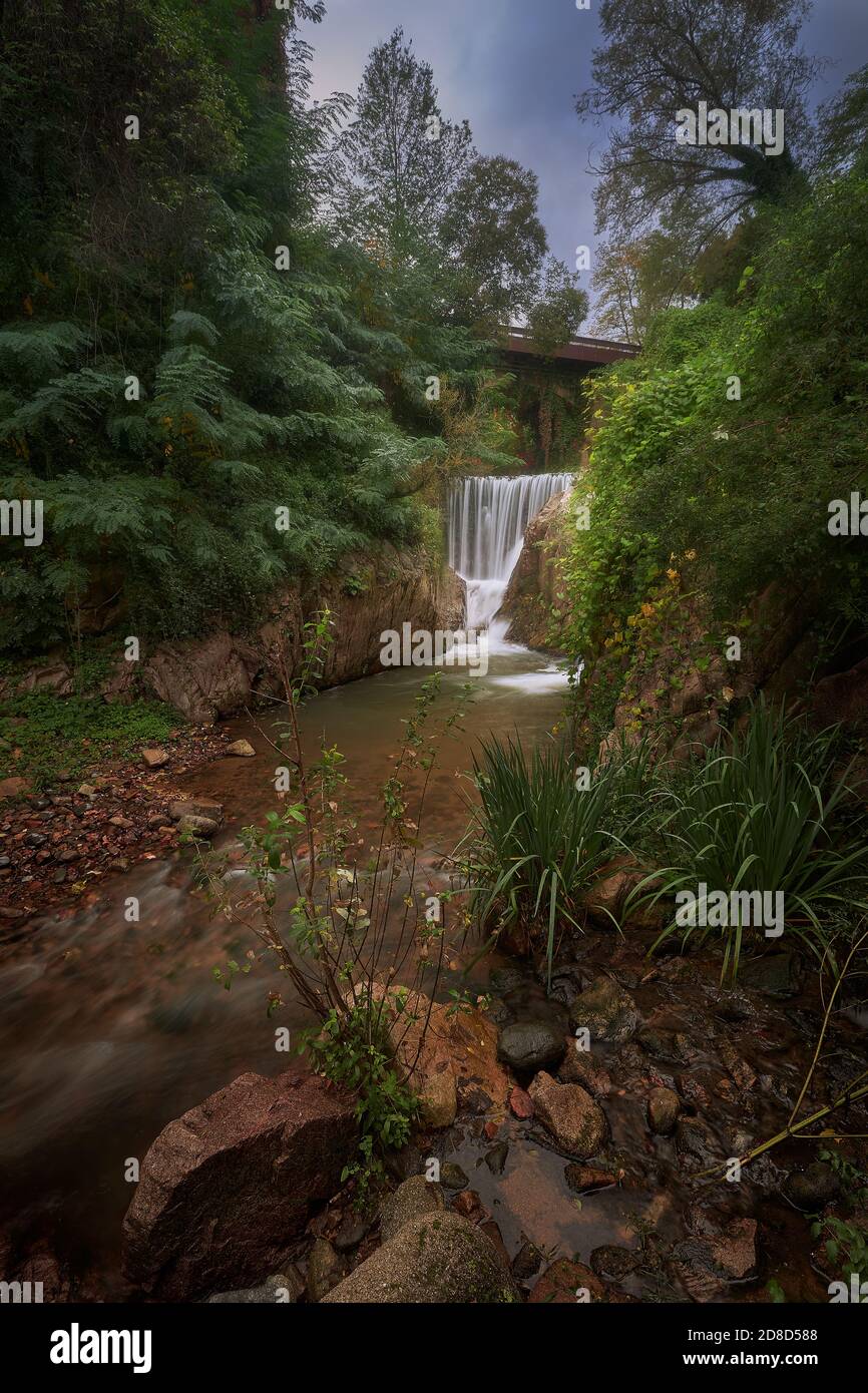 Vertical shot of a beautiful waterfall in a forest surrounded by lush ...