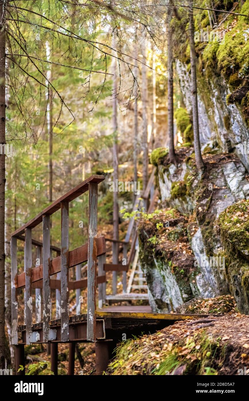 iron old staircase up in the autumn forest Stock Photo