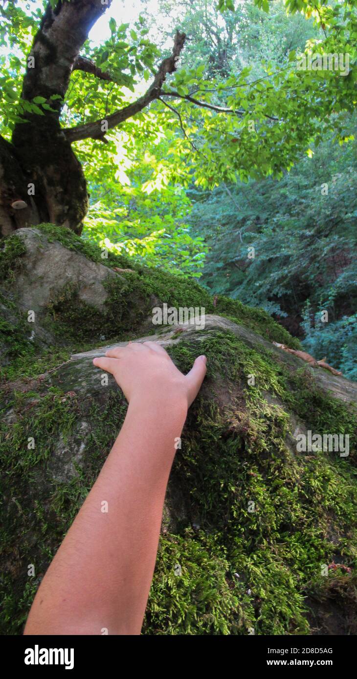 Young child hand touching river rock stone covered with green plant ...