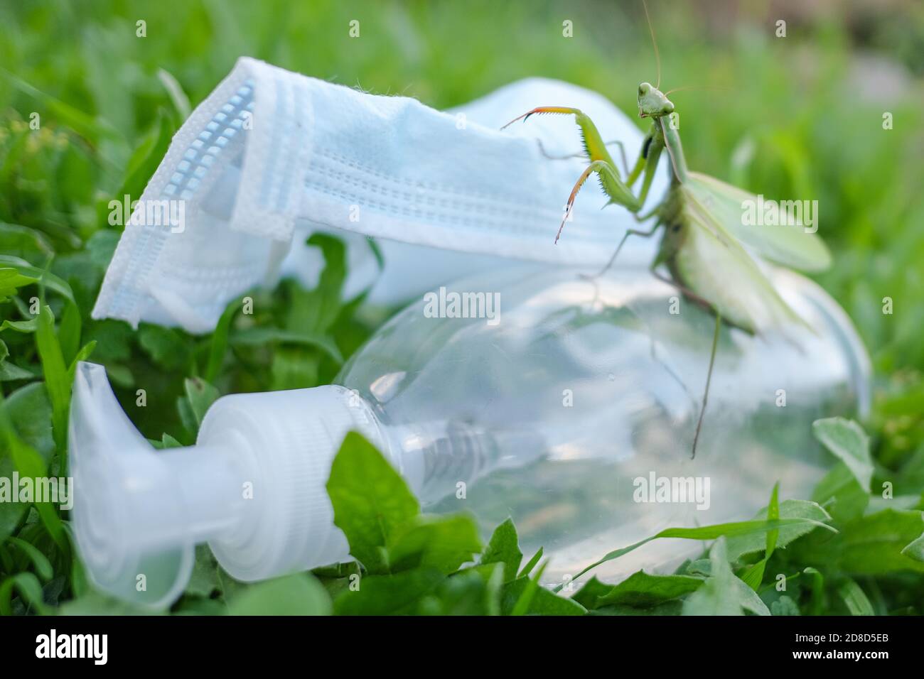 Praying mantis living on discarded medical face mask and hand sanitizer dispenser pollution.Contaminated habitat,COVID19 trash Stock Photo