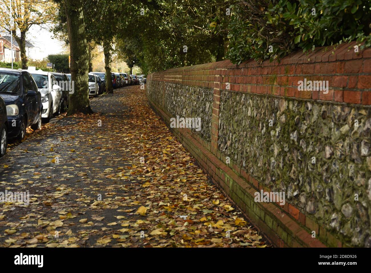 sidewalk covered in leaves Stock Photo
