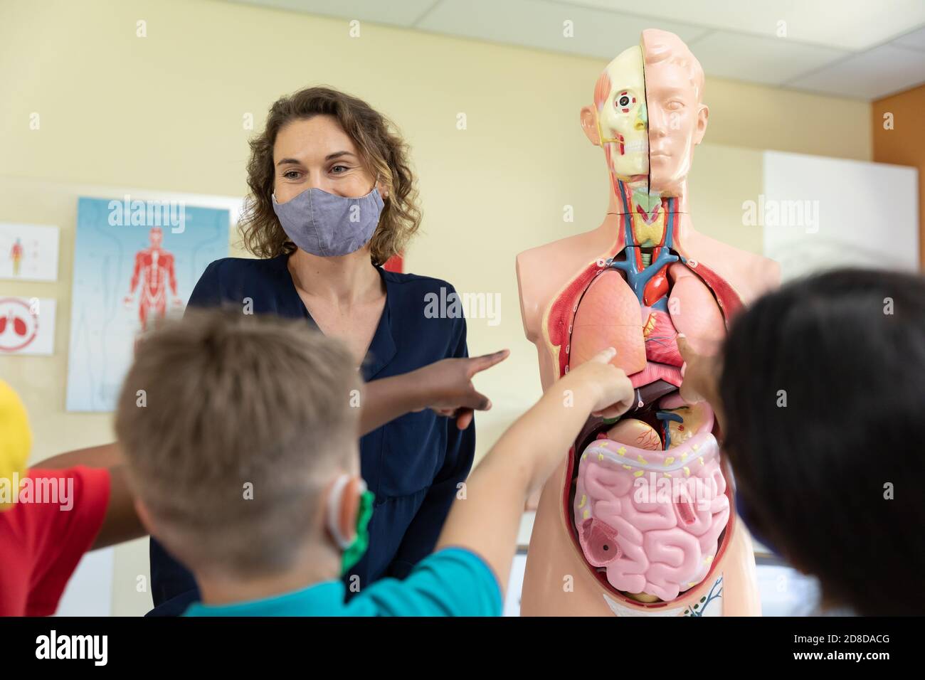 Female teacher wearing face mask using human anatomy model to teach