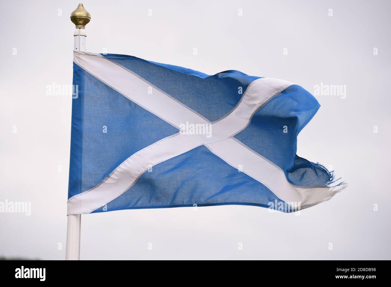 St Andrew's Cross flutters proudly in the breeze Stock Photo