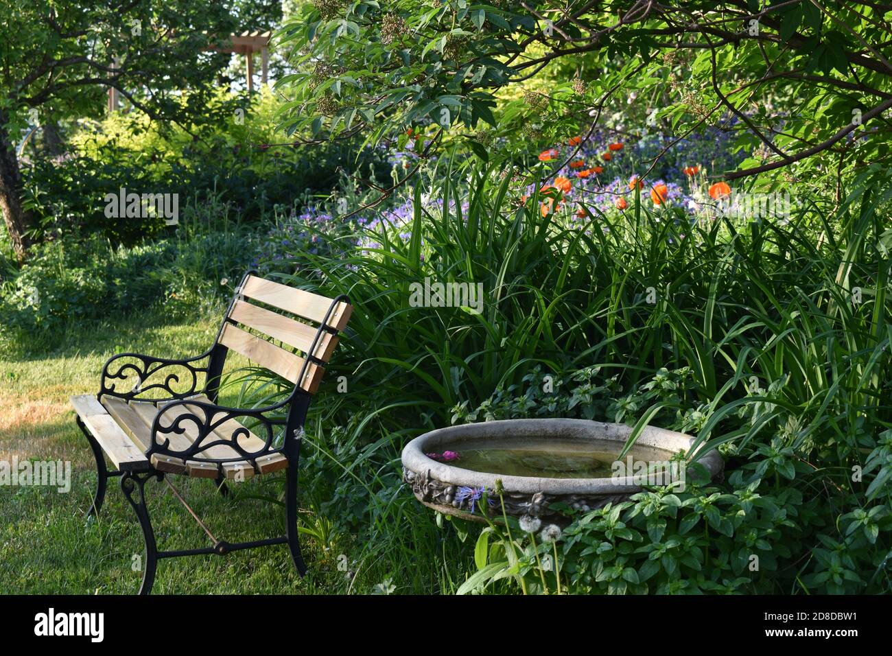 Un banc dans le jardin Stock Photo