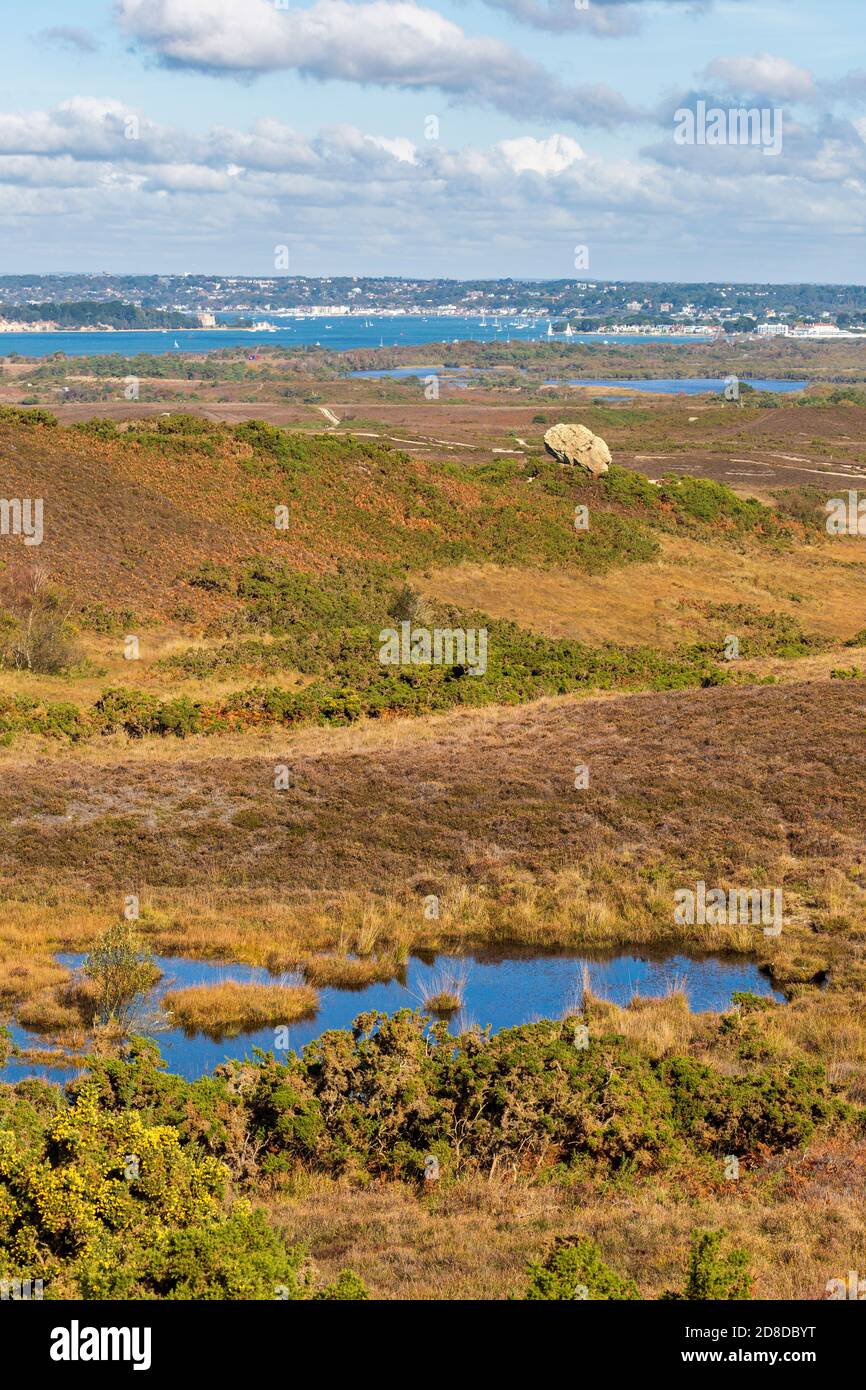 Poole Harbour Island High Resolution Stock Photography and Images Alamy