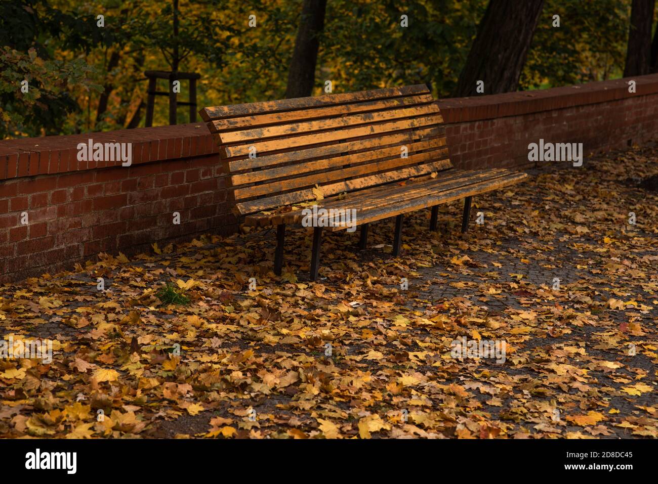 Empty park benches in the rain hi-res stock photography and images - Alamy