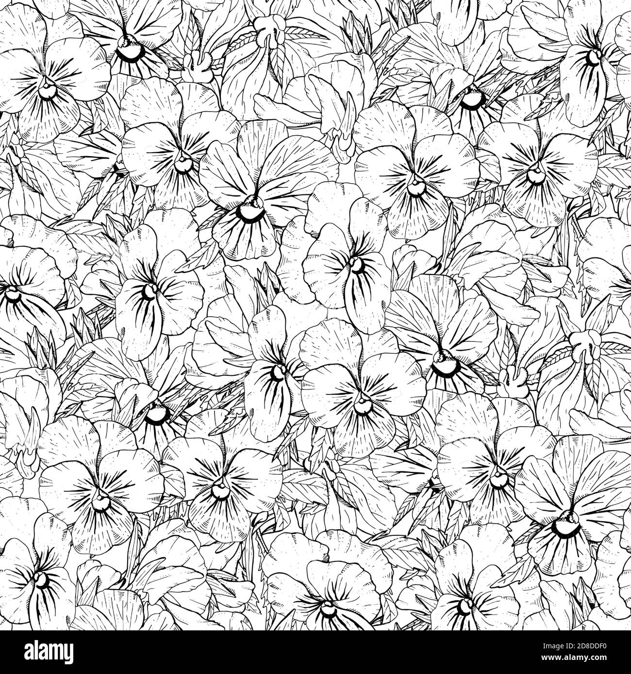 Monochrome floral seamless pattern with hand drawn pansy flowers on ...