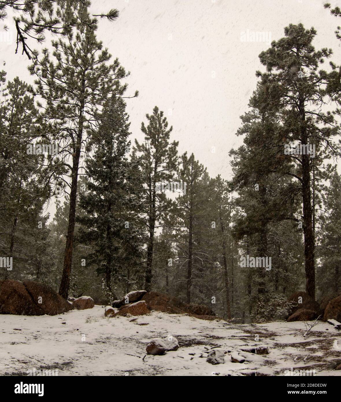 Buffalo Creek Fall 2020 Stock Photo Alamy