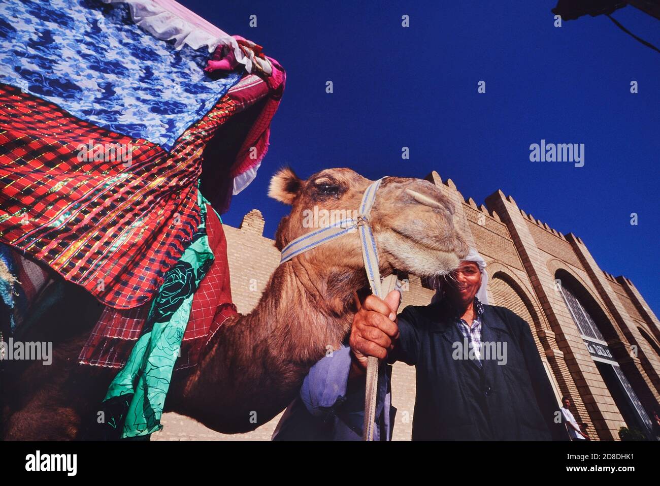 Page 3 Photo Of A Camel High Resolution Stock Photography And Images Alamy