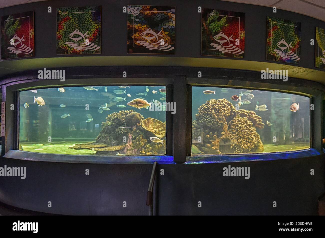 Aquarium at Pretoria zoo, Gauteng, South Africa Stock Photo Alamy