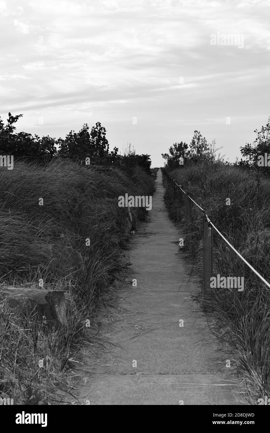 Black and white beach pathway Stock Photo