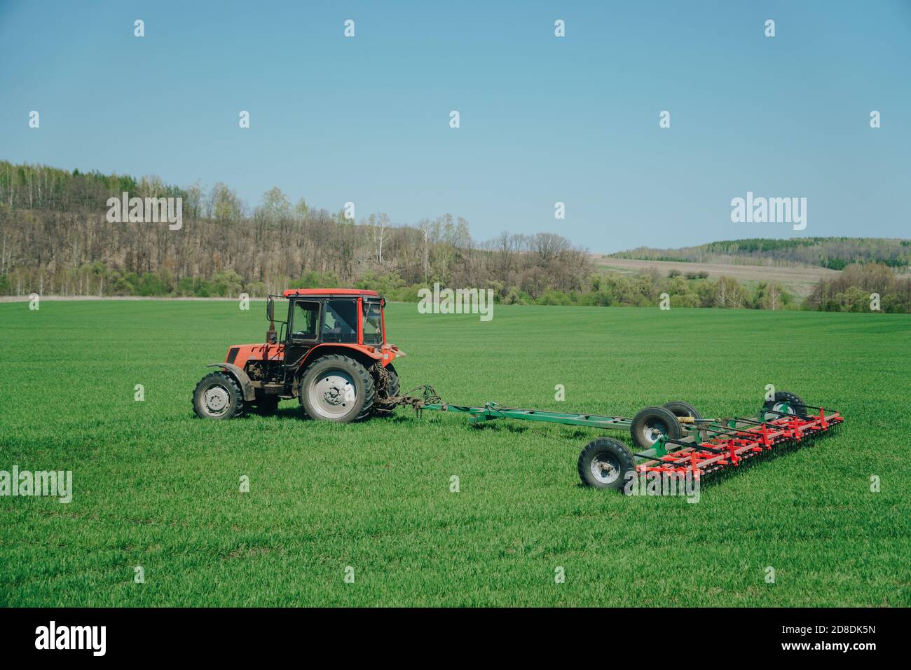 The tractor is working on a green spring field. Agriculture with cereal crops Stock Photo
